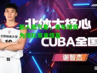 新人新气象，青年球员为球队带来惊喜