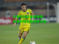 北爱尔兰队备受观察，欧洲杯预选赛成败关键