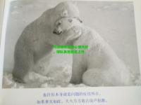 阿拉维斯主帅心情大好，球队表现稳定上升