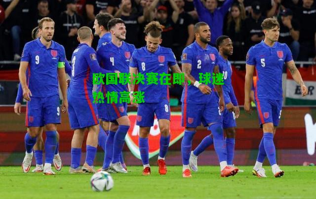 欧国联决赛在即，球迷热情高涨