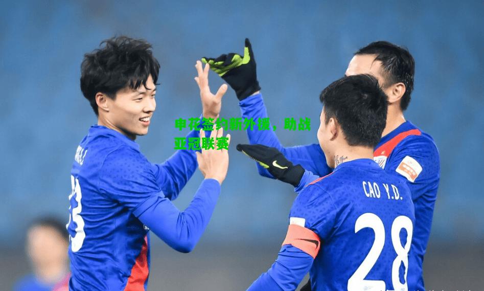 申花签约新外援，助战亚冠联赛