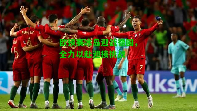 欧预赛冰岛迎战德国，全力以赴迎接挑战