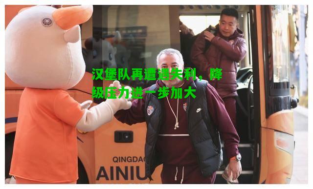 汉堡队再遭遇失利，降级压力进一步加大