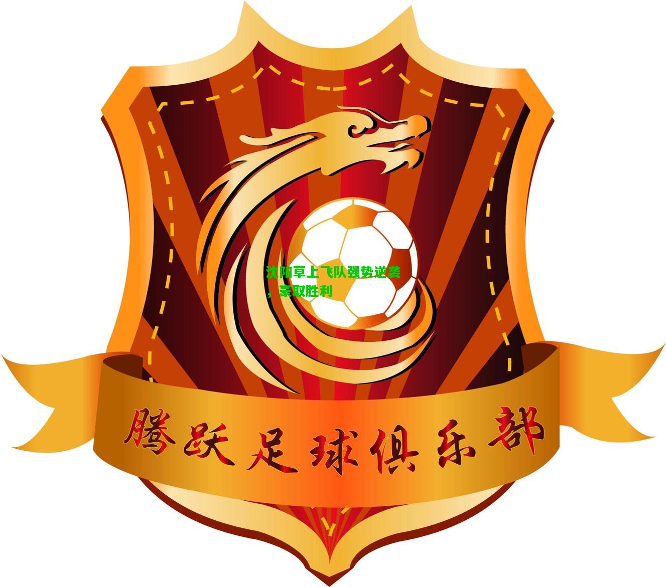 沈阳草上飞队强势逆袭，豪取胜利