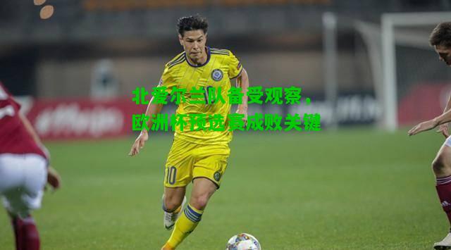 北爱尔兰队备受观察，欧洲杯预选赛成败关键