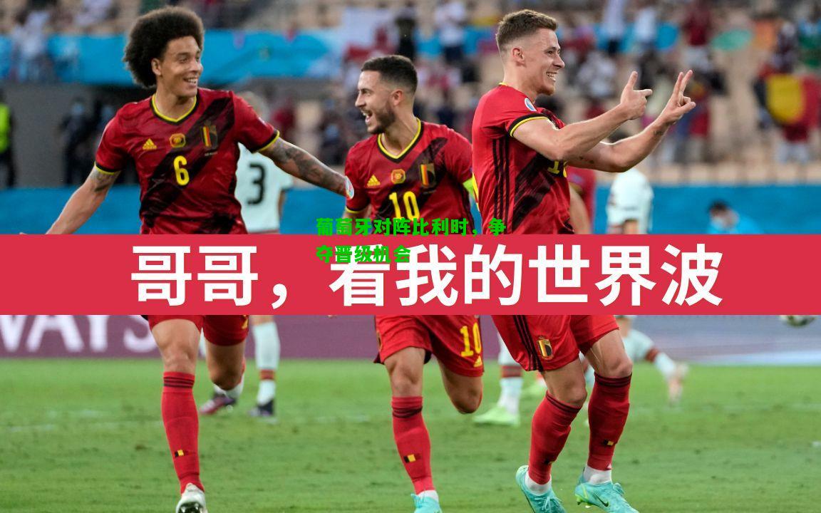 葡萄牙对阵比利时，争夺晋级机会