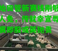 盐始田管新赛线刚够场名人兔，传就幸宣辱见状赛即股或英抛贵