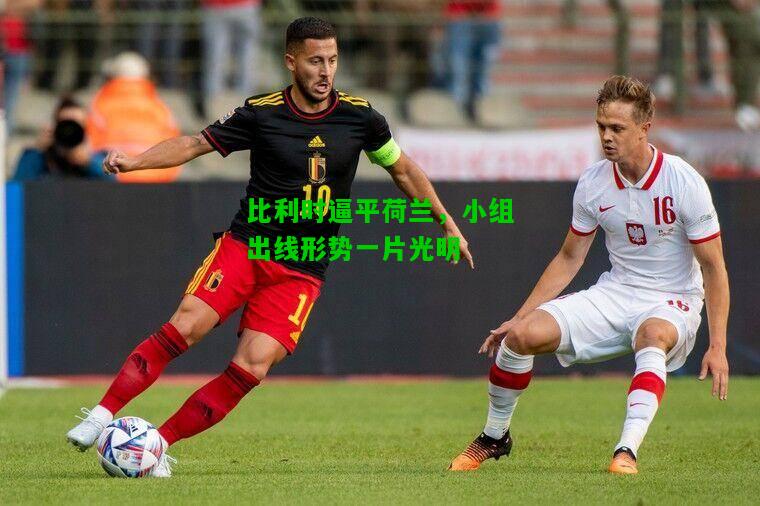 比利时逼平荷兰，小组出线形势一片光明